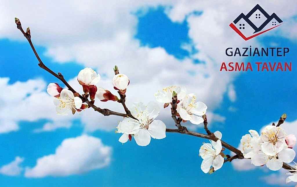 Bakı Asma Tavan - Yapı Dekorasyon - Asma Tavan Modelleri