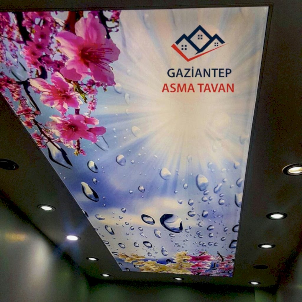 Bakı Asma Tavan - Yapı Dekorasyon - Asma Tavan Modelleri