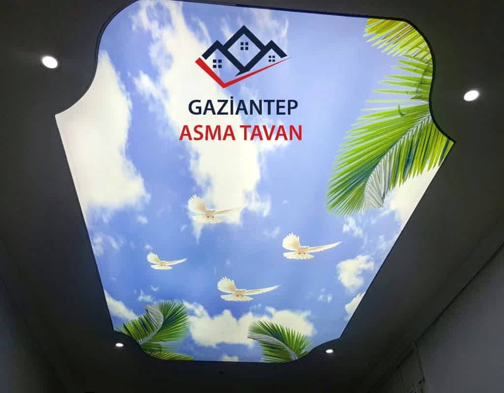 Bakı Asma Tavan - Yapı Dekorasyon - Asma Tavan Modelleri