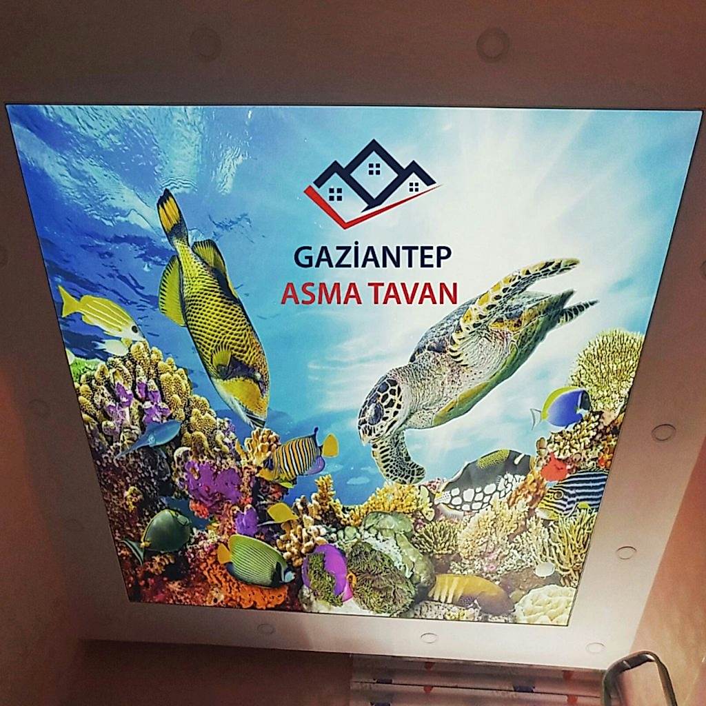 Bakı Asma Tavan - Yapı Dekorasyon - Asma Tavan Modelleri