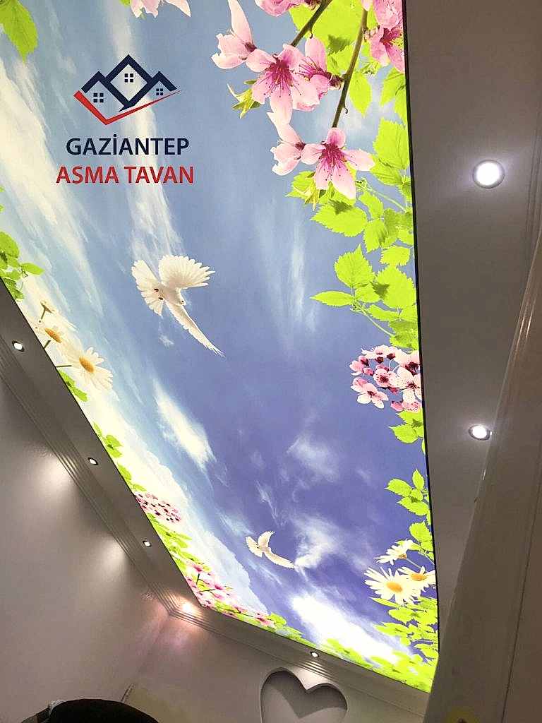 Bakı Asma Tavan - Yapı Dekorasyon - Asma Tavan Modelleri
