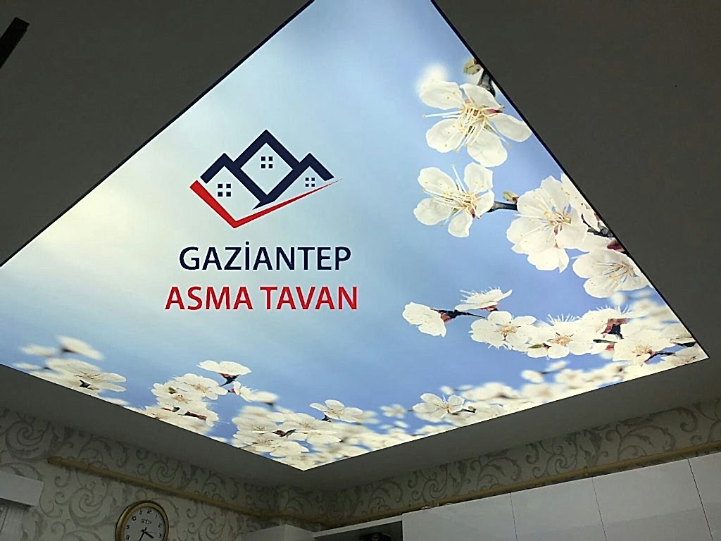 Bakı Asma Tavan - Yapı Dekorasyon - Asma Tavan Modelleri