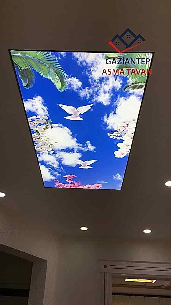 Bakı Asma Tavan - Yapı Dekorasyon - Asma Tavan Modelleri