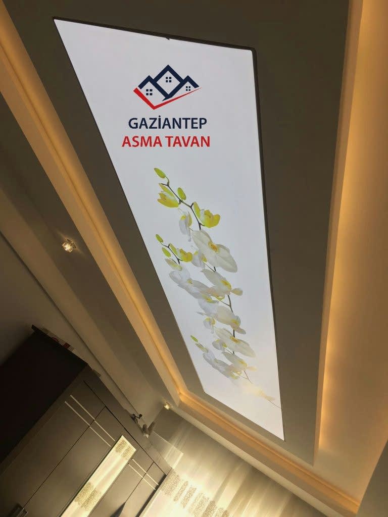Bakı Asma Tavan - Yapı Dekorasyon - Asma Tavan Modelleri