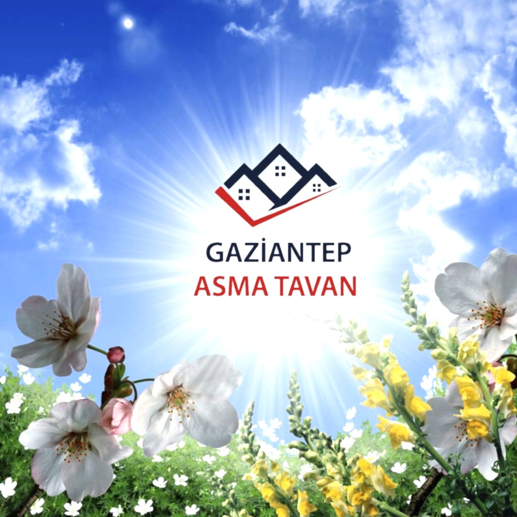 Bakı Asma Tavan - Yapı Dekorasyon - Asma Tavan Modelleri