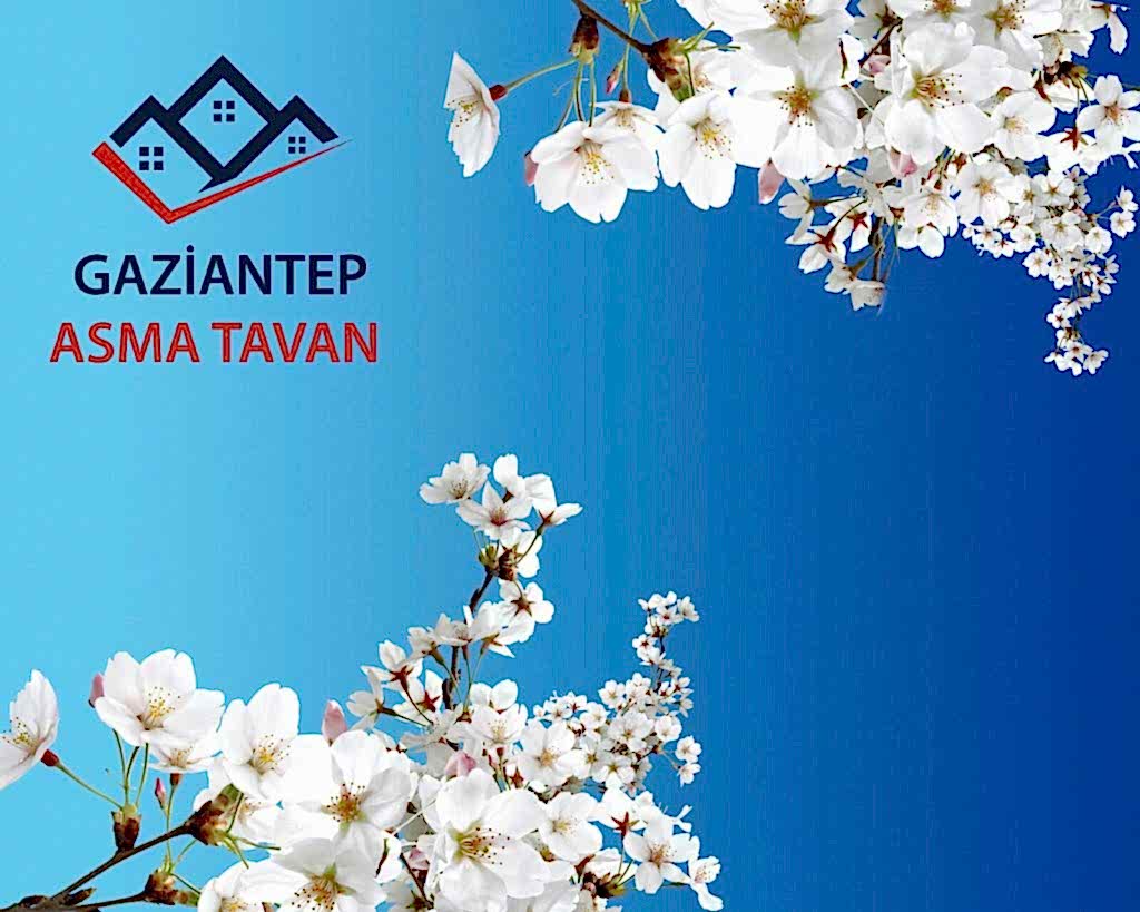 Bakı Asma Tavan - Yapı Dekorasyon - Asma Tavan Modelleri
