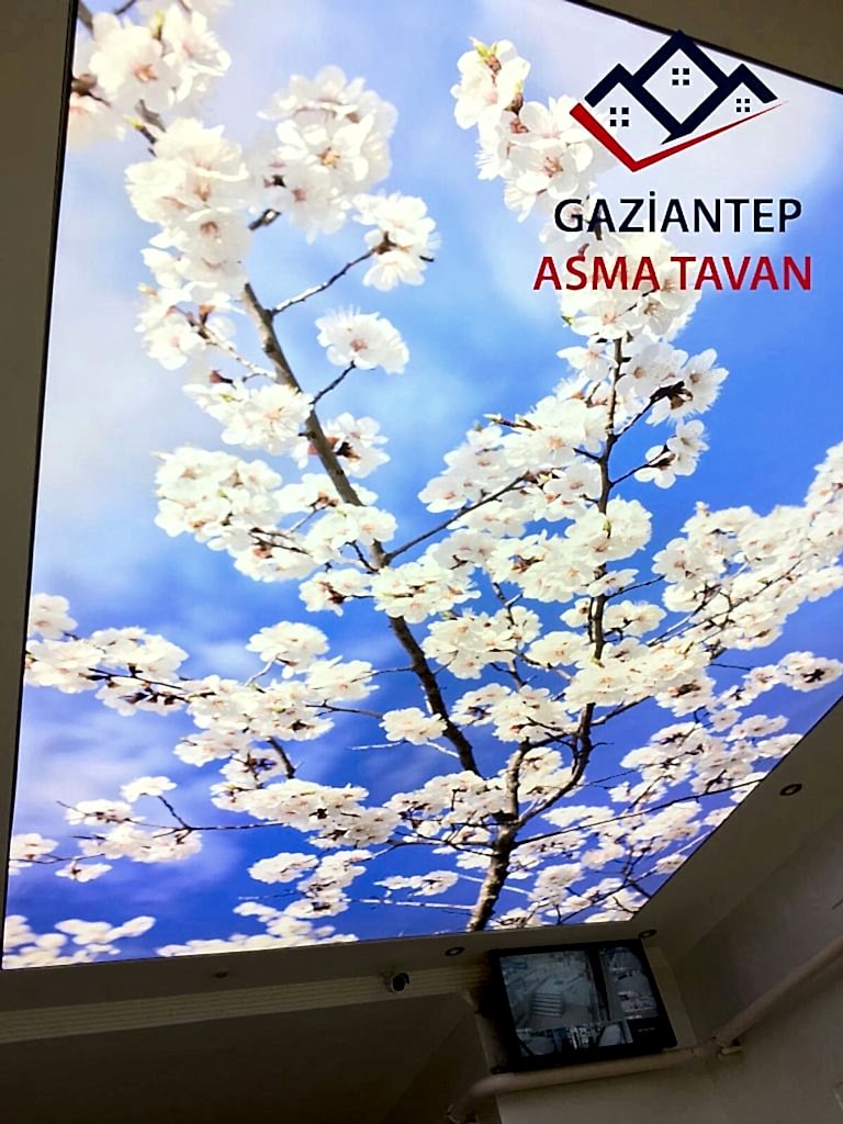 Bakı Asma Tavan - Yapı Dekorasyon - Asma Tavan Modelleri