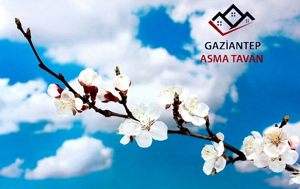 Bakı Asma Tavan - Yapı Dekorasyon - Asma Tavan Modelleri