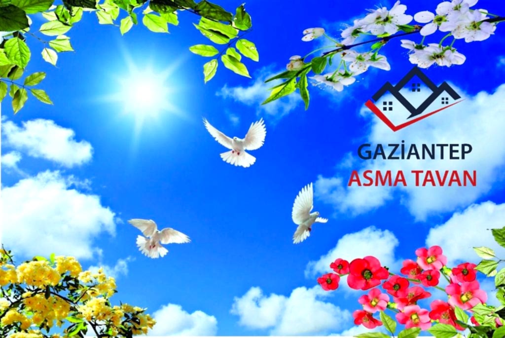 Bakı Asma Tavan - Yapı Dekorasyon - Asma Tavan Modelleri