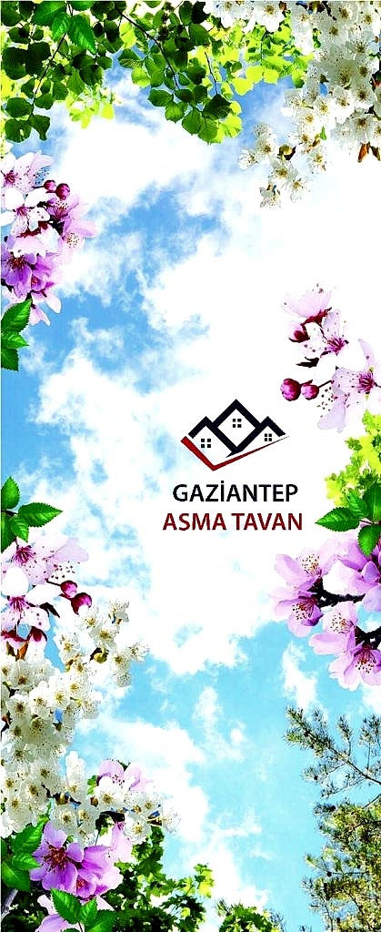 Bakı Asma Tavan - Yapı Dekorasyon - Asma Tavan Modelleri