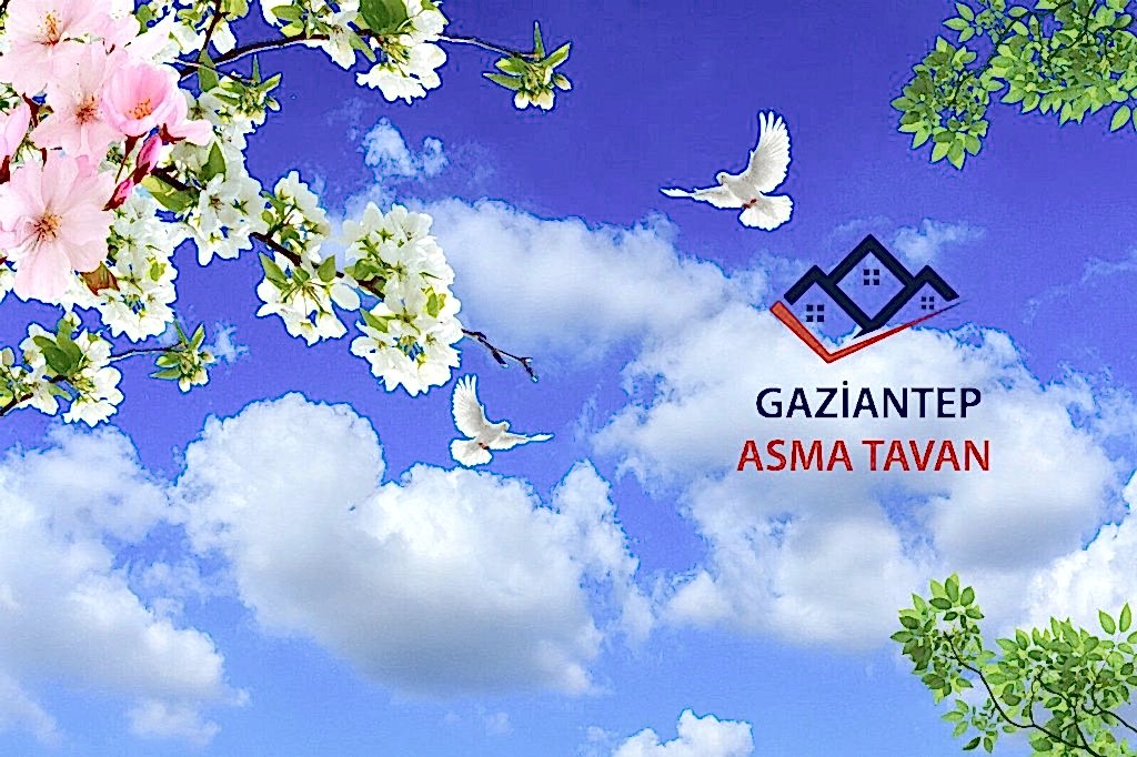 Bakı Asma Tavan - Yapı Dekorasyon - Asma Tavan Modelleri