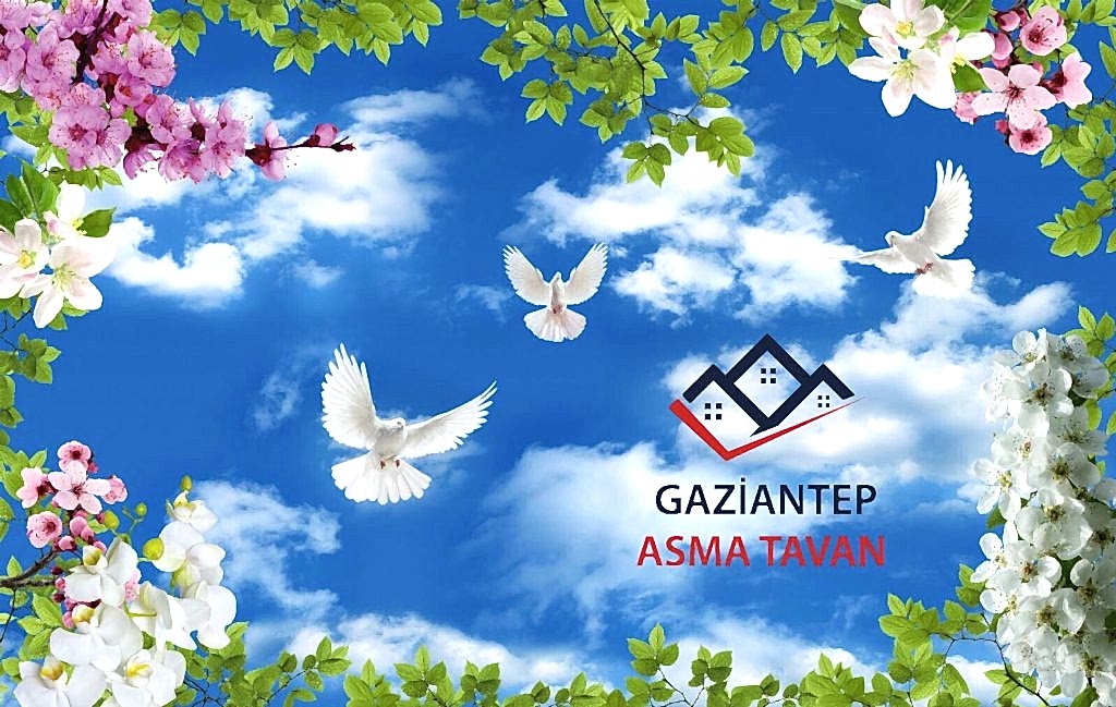 Bakı Asma Tavan - Yapı Dekorasyon - Asma Tavan Modelleri